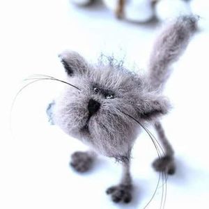 Meet your Posher, Bobbie